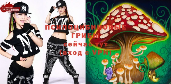 метадон Сатка