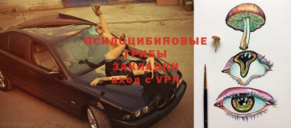 дмт Алексин