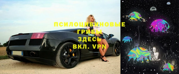 дмт Алексин